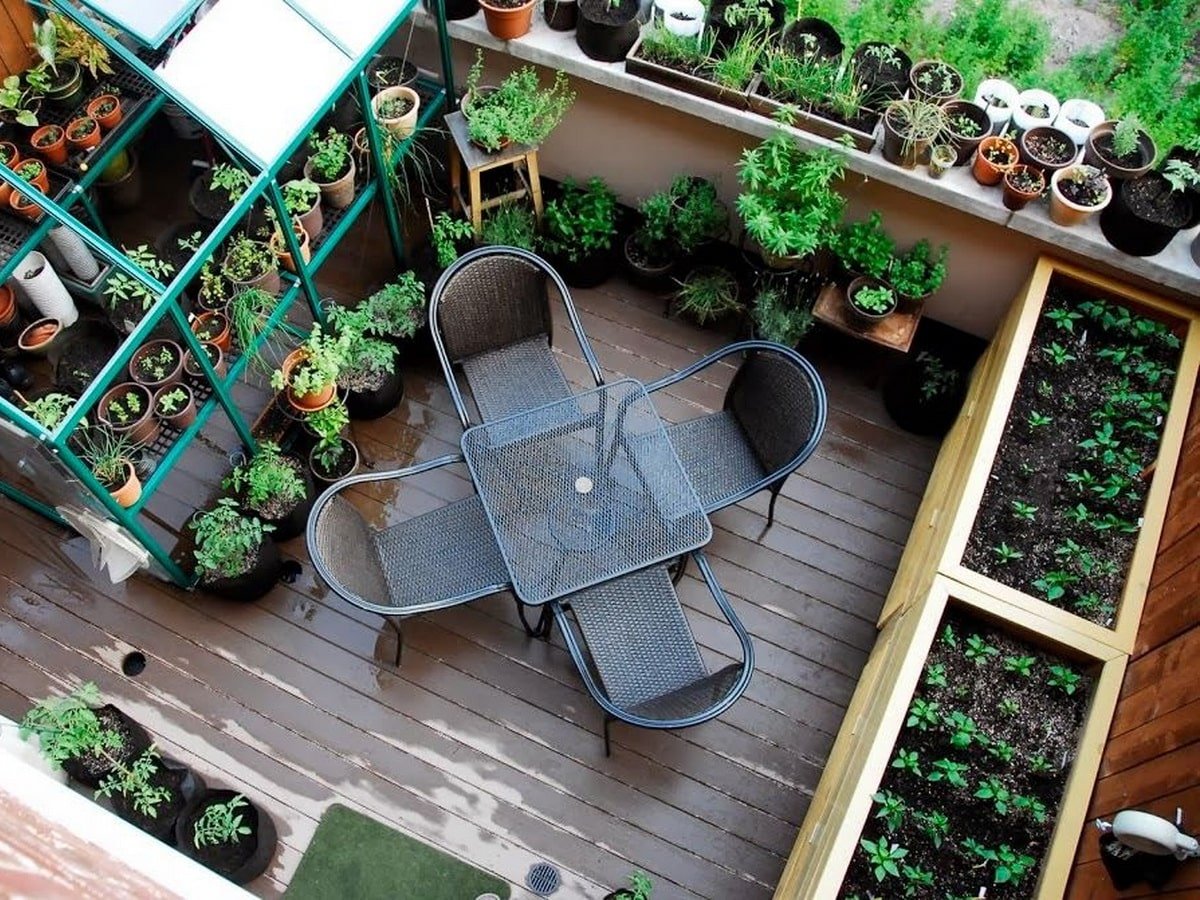 Что можно посадить на балконе. Огород в квартире. Огород на балконе. Сад и огород на балконе. Грядки на балконе.