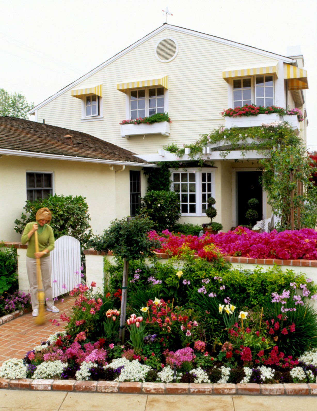Дом розочка. Розарий Багатель. Клумба перед домом. Цветы в палисаднике перед домом. Красивый двор с цветами.