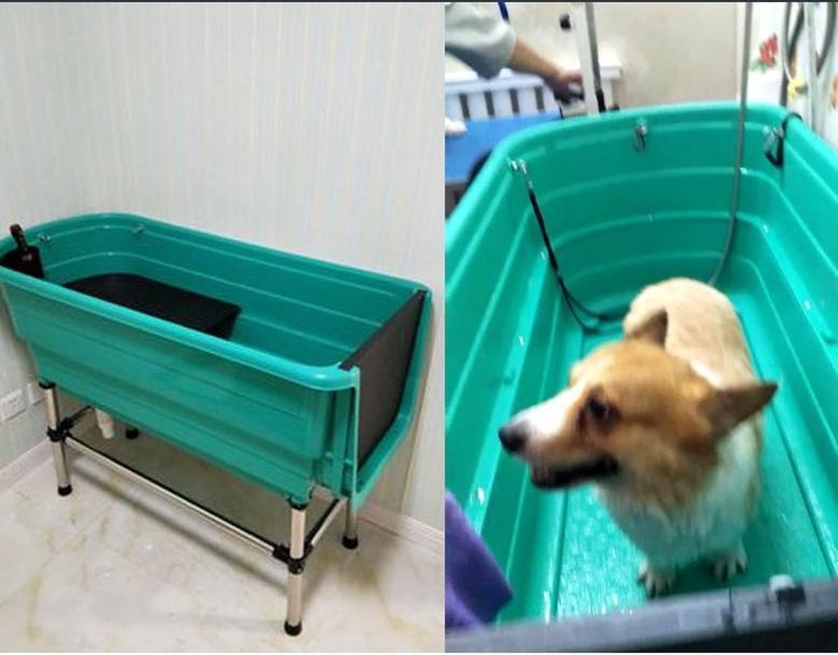 Ванночка для собак. Ванна для собак. Ванна для мытья собак. Ванна для груминга собак. Ванная для собак пластиковая.