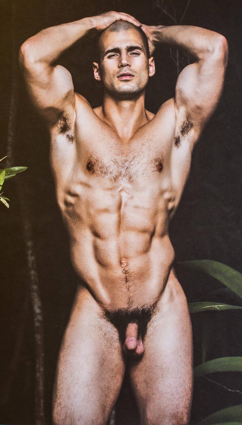 Todd sanfield