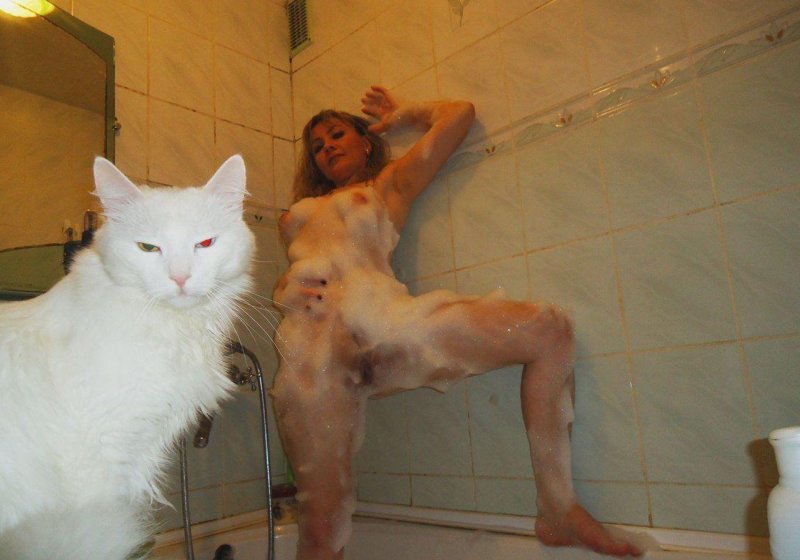 Голые котики