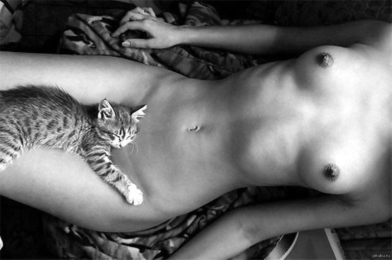 Эротическая фотосессия с кошками