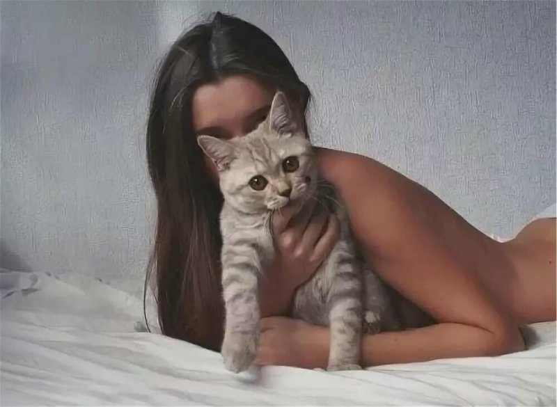 Кошка девушка
