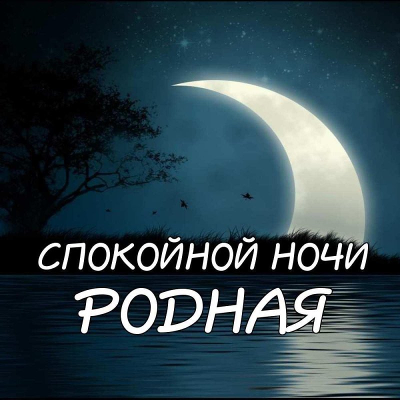 Спокойной ночи моя