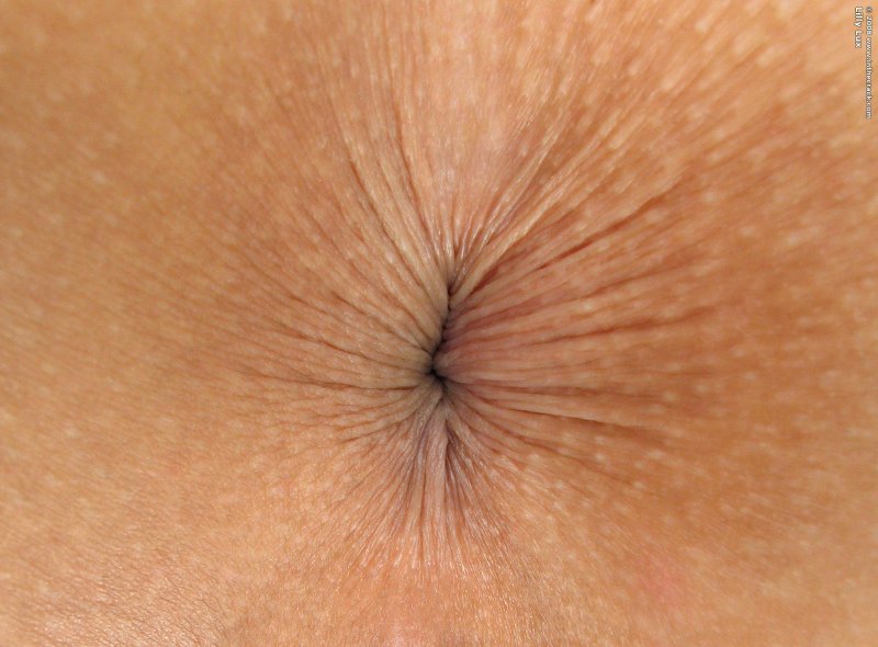 Волосатый пупок